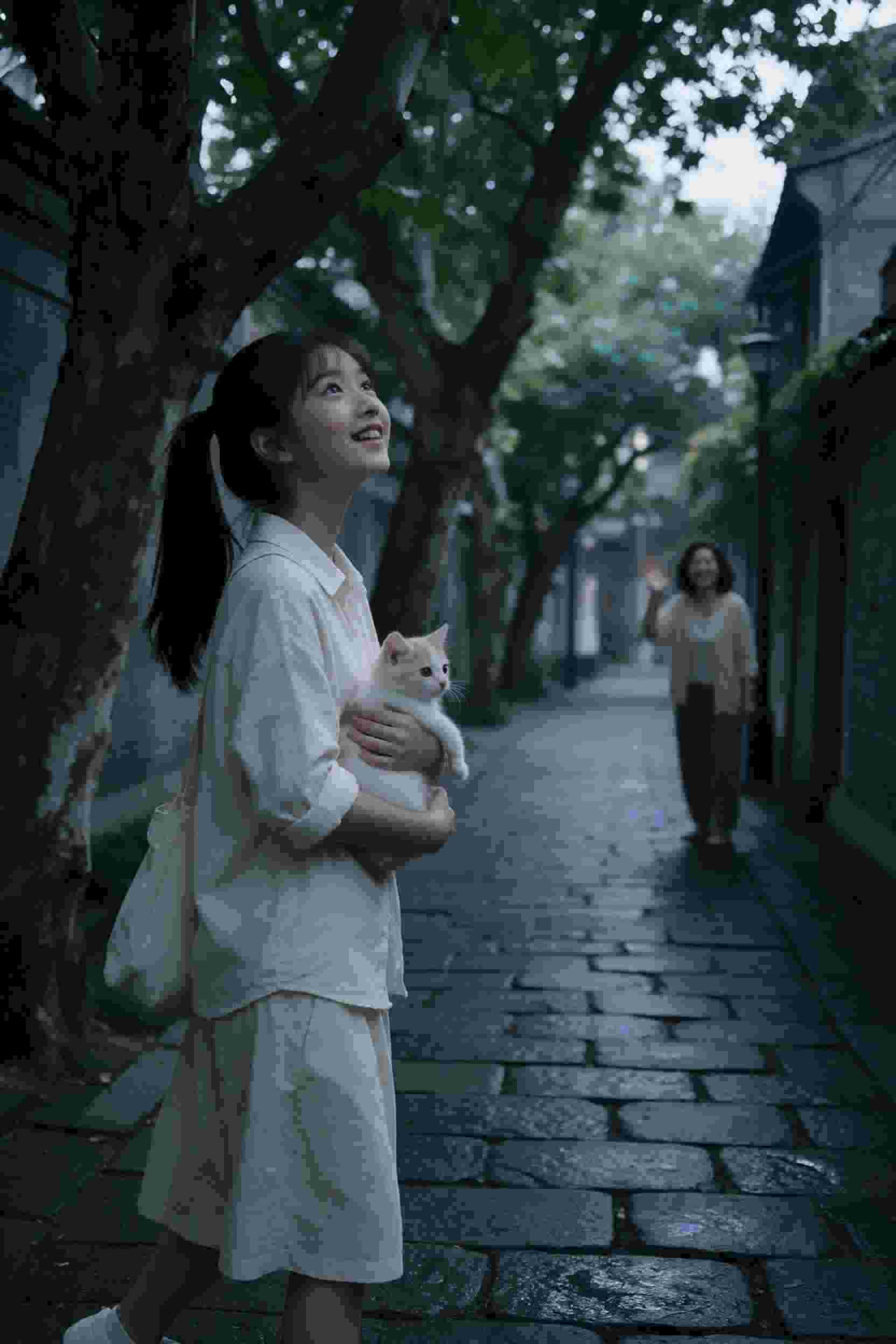 城市爱恋绮梦
